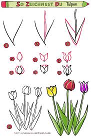 So Zeichnest Du Tulpen Einfache Anleitung Zum Nachzeichnen So Zeichnest Du