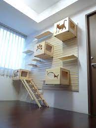 Cat Friendly Home Ideas Houseplansblog Dongardner Com Cat Climbing Wall Animal Room Cat Room