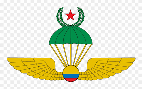 Escudo de la seleccion colombia png image with transparent background. Escudo De Paracaidismo Militar Colombia Clipart 4308855 Pikpng