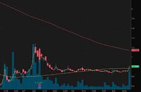 Webull offers sundial growers inc. Are These Marijuana Penny Stocks To Buy Or Avoid Right Now