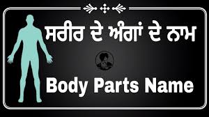 • human body parts names with pictures. Parts Of The Body Name Punjabi To English à¨¸à¨° à¨° à¨¦ à¨ à¨ à¨¦ à¨¨ à¨® à¨ª à¨ à¨¬ à¨¤ à¨ à¨à¨² à¨¸