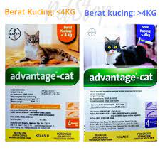 Kalau lambat detect atau buat tindakan, kutu akan menyebabkan kulit kucing jadi. Bayer Advantage Cat Spot On S Ubat Kutu Kucing Shopee Malaysia