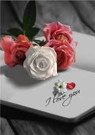 ورود و قلوب و حروف 30 Imagens De Amor Rosas Vermelhas Imagens Romanticas