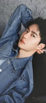 Xiao Zhan & Wang Yibo