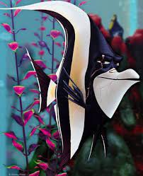 Pinterest