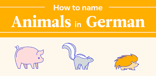 Active ingredients, directions for use, precautions, and storage information. The German Animal Names Flowchart