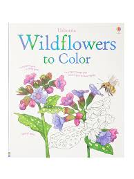 Download Usborne Books Adult Coloring Books