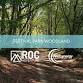 Ebbw Vale Festival Park Woodland event image