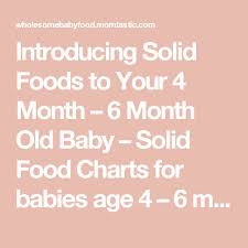 4 To 6 Months Food Chart Baby Food 6 Month Baby Food 4