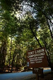 Maybe you would like to learn more about one of these? Reservations Big Basin Tent Cabins
