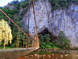 We did not find results for: Camping La Rulote Suncuius Bihor In Imagini