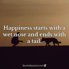I know every book of mine by its smell, and i have but to put my nose between the pages to be reminded of all sorts of things. Happiness Starts With A Wet Nose And Ends With A Tail Quote Squirrel