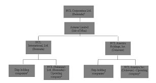 Carnival Cruise Management Structure College Paper Help