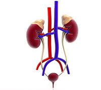 Clarithromycin is known as a macrolide antibiotic. Ø£Ø²ÙŠØ«Ø±ÙˆÙ…Ø§ÙŠØ³ÙŠÙ† Ø§Ù„Ø§Ø³ØªØ®Ø¯Ø§Ù…Ø§Øª ÙˆØ£Ø¨Ø±Ø² Ø§Ù„Ù…Ø­Ø§Ø°ÙŠØ± ÙˆÙŠØ¨ Ø·Ø¨