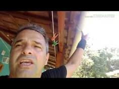 Daniel ODEL (odelgrafite) — Perfil