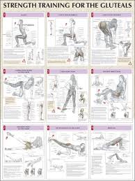 Strength Training For The Glutes Chart Hip Strengthening