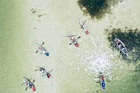 Chart your own course or take a guided kayak tour through exotic mangrove tunnels and open waters rich with birds and other wildlife. Clear Kayak Tour Of Shell Key Preserve And Tampa Bay Area Provided By Get Up And Go Kayaking Tampa Bay Tierra Verde Florida Tripadvisor