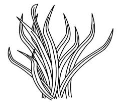 ✓ free for commercial use ✓ high quality images. 34 Grass Coloring Pages Ideas Coloring Pages Grass Coloring Pictures