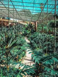 Mon Top 5 Des Lieux A Ne Pas Manquer A Lisbonne Lisbonne Visite Lisbonne Et Lisbonne Portugal