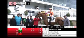 Profile for Timothy Salzman Racing Stables