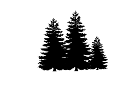 Download Png Clipart Clip Art Pine Tree Silhouette