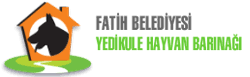 Temel Itaat Egitimi Fatih Belediyesi Yedikule Hayvan Barinagi