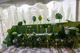 Pop up garden tour 2020; The 2018 Newport Flower Show The Martha Stewart Blog