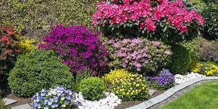 Learn more about plant combinations here. How To Choose Plants For Landscaping Home Design Lover