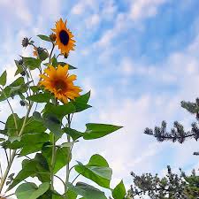 Deborah Currie (@curriedeborah_) • Instagram photos and videos