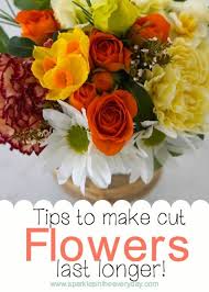 What helps flowers last longer. 6 Tips To Make Cut Flowers Last Longer Sparkles In The Everyday