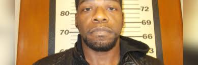 Arrest made in Wilcox County drug bust