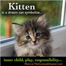 Kitten Dream Symbol In The Curious Dreamer Dream Dictionary Dream Symbols Dream Interpretation Dream Meanings
