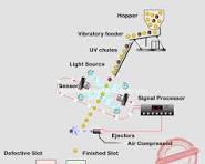 Automatic 1000kgh Garlic Clove Color Sorting Machine
