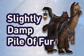 There are 3 camel mounts: Buy Wow Slightly Damp Pile Of Fur Mollie Mount Service Koroboost Com