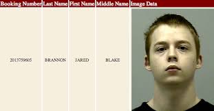 Dacula Docket Book: Battery, Theft by Receiving and DUI