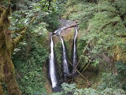 Best Places To Camp Near Portland Oregon Oregon Camping Best Places To Camp Waterfall Hikes