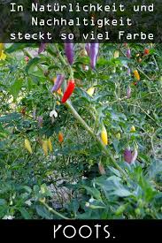 In Naturlichkeit Und Nachhaltigkeit Steckt So Viel Farbe Chili Natur Gewurzhandel