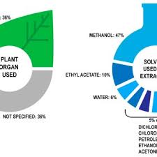 Image result for Tragia grandistipularis