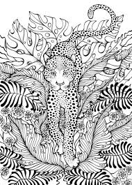 Leopard Coloring Page Coloring Pages Animal Coloring Pages Coloring Book Pages