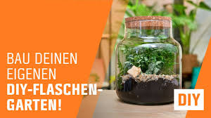 Das glas sollte mit einem passgenauen korken verschlossen werden. Flaschengarten Anlegen So Geht S Mein Schoner Garten