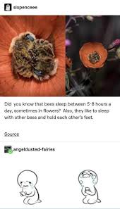 This Is So Wholesome Made Me Think Of A Friend And Felt The 22 Freshest Pics And Memes Memes Animal Memes Cute Funny Animals Cute Baby Animals