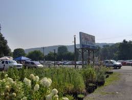 Save country cabin.we have cleaned the cabin top to bottom! Trade Day Picture Of Collinsville Trade Day Tripadvisor
