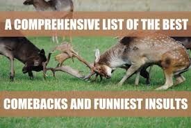 Jul 25, 2021 · insults and roasts come in all shapes and sizes. A Comprehensive List Of The Best Comebacks And Funniest Insults Pairedlife
