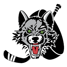 All use highly advanced technology and equipment in the field to gain an edge over their enemies. Chicago Wolves Logo Png Transparent Svg Vector Freebie Supply