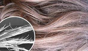 We did not find results for: Descubre Como Reparar El Cabello Quemado Mejor Con Salud