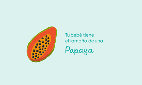 En la semana 22 de embarazo, el útero ya ha llegado a la altura de tu ombligo y ha aumentado bastante de peso. 22 Semanas De Embarazo Embarazo Mes A Mes Pampers