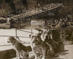 Psicolmascot Los Perros Del Titanic Pekingese Dogs Animals