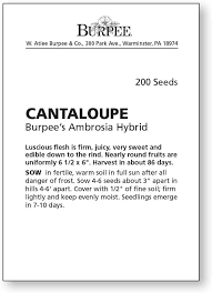 If you are looking for a similar variety please try one of these:burpee hybrid. Burpee Ambrosia Cantaloupe Melon Seeds 30 Seeds Gardening Plants Seeds Bulbs G2 Publicidad Com