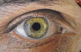 Enjoy the videos and music you love, upload original content, and share it all with friends, family, and the. Jose Vergara Gallery 14 Hyper Realistic Eyes Pencil Drawings