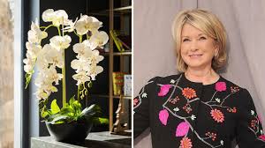 These Stunning Orchids, Curated by Martha Stewart, Show That Floral Arrangements Can Be Both Artful and Long-Lasting
